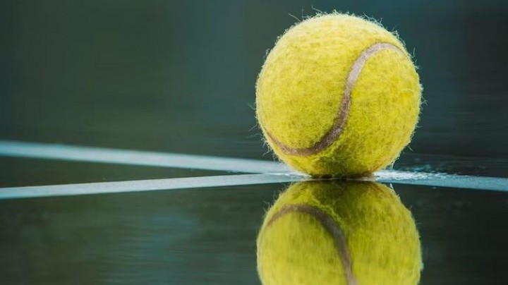 Foto vom Seminar Tennisplatzpflege