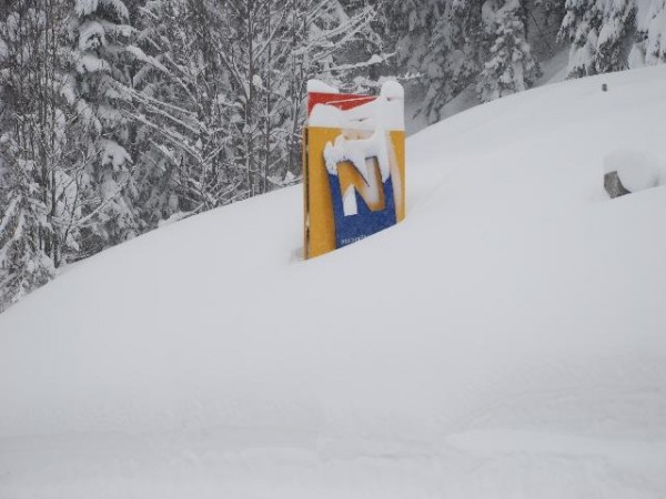 beachtliche Schneehöhen am 24.02.2009 an der Landesgrenze am Zellerrain, Niederösterreich-Logo im Schnee