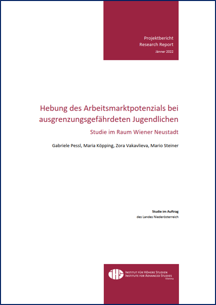 Cover: • Hebung des Arbeitsmarktpotenzials bei ausgrenzungsgefährdeten Jugendlichen