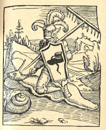 7. Schneckenritter