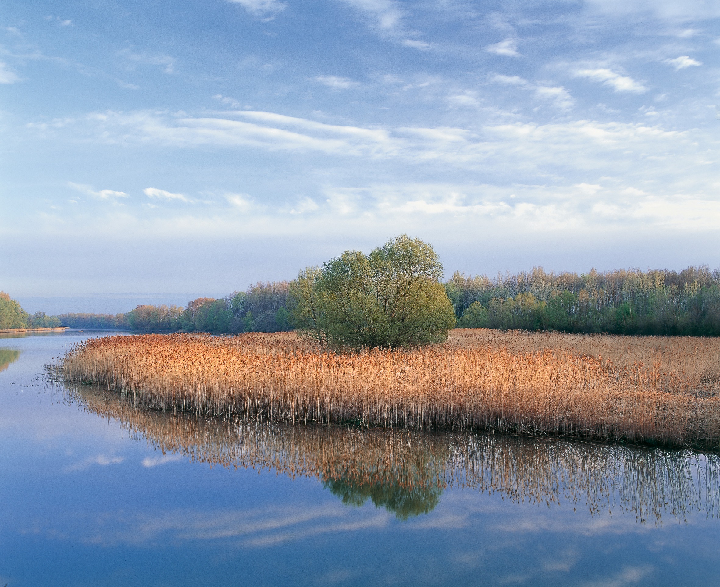 Donau-Auen