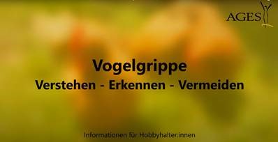 AGES Vorschaubild für Vogelgrippevideo