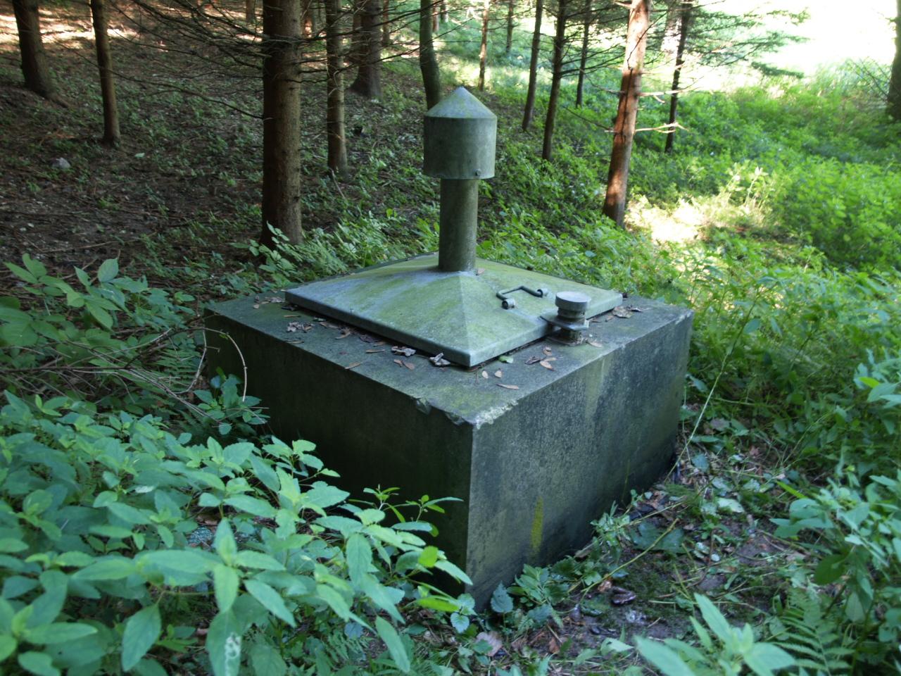 WA4/Stelzeneder Trinkwasserbrunnen in Neustadtl-Markt